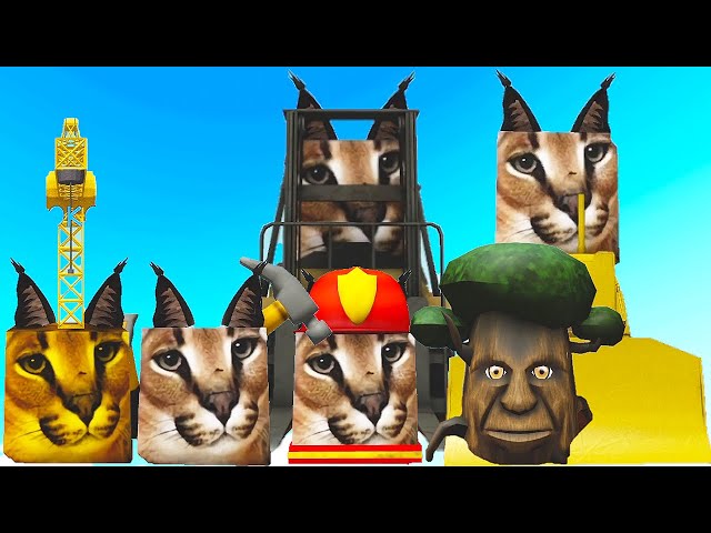 How to get ALL 6 NEW FLOPPA MORPHS in Find the Floppa Morphs for Roblox