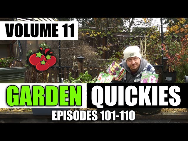Garden Quickies Volume 11 - Episodes 101 to 110