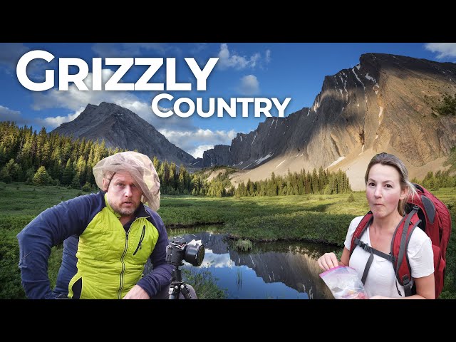 Eaten Alive in Grizzly Country + Learn Mountain Photography