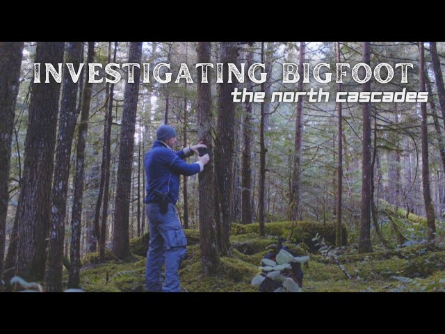Investigating Bigfoot  |  The North Cascades