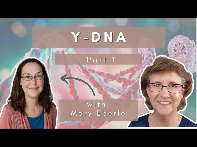 How To Use Y-DNA to Find Your Ancestors! - Part 1
