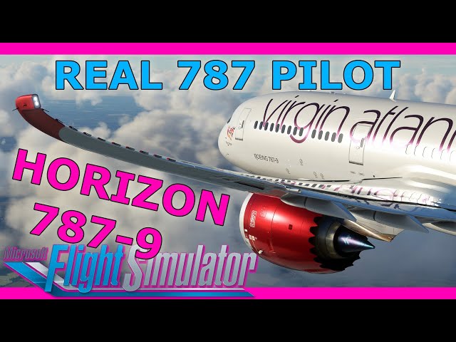 Real 787 Pilot Reviews the Horizon 787-9!