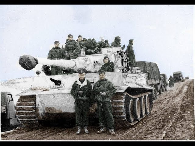 Italian Tiger Tank Ace