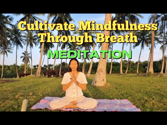 Cultivate Mindfulness Through Breath Meditation | GUIDED