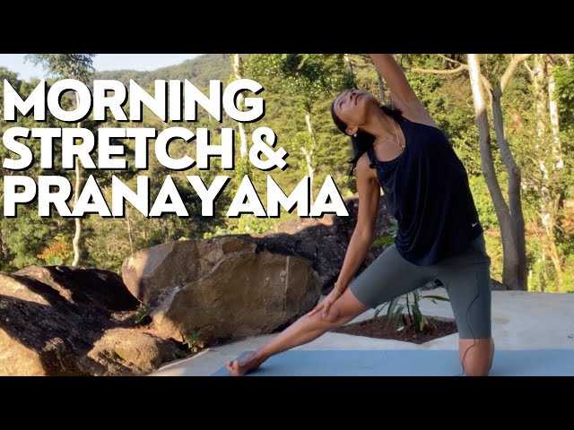 MORNING FULL BODY STRETCH | PRANAYAMA