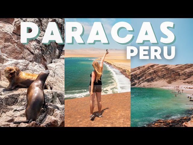 Exploring the beautiful Paracas; national reserve, sea lions & penguins 🐧 Peru travel vlog