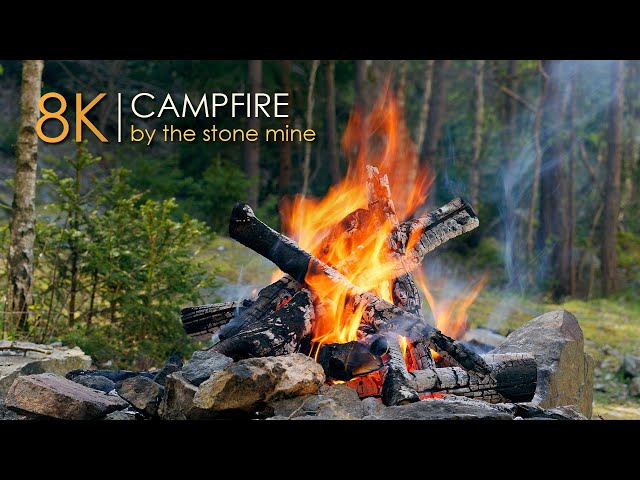 Natural Scenery by The Campfire🌲Soothing Relaxing Sounds 🔥8K