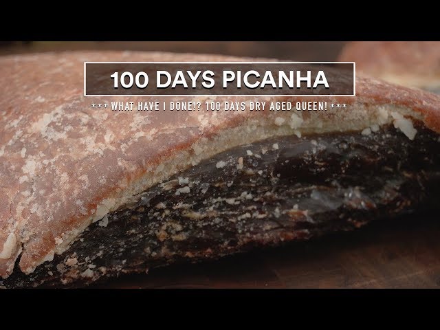 100 Days DRY-AGED PICANHA Experiment!