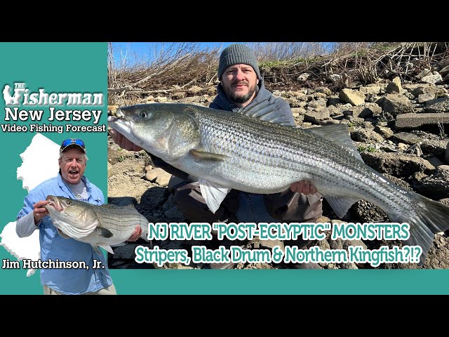 April 11th, 2024 New Jersey/Delaware Bay Fishing Report with Jim Hutchinson, Jr.