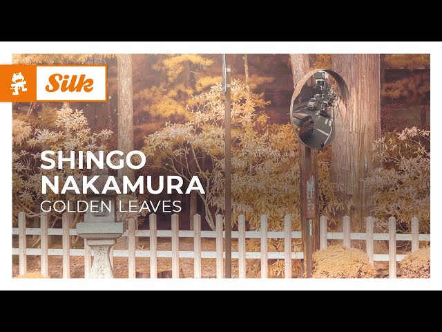Shingo Nakamura - Golden Leaves [Monstercat Release]