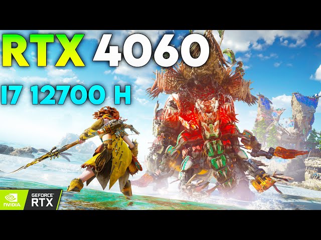 Horizon Forbidden West : RTX 4060 8GB | Maximum Settings