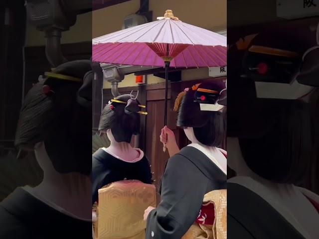 和傘をさして挨拶まわりをされる芸妓さん #京都 #芸者