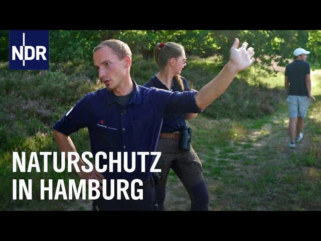 Auf Streife mit Hamburgs Naturschützern | Die Nordreportage | NDR Doku