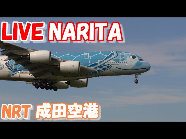 🔴LIVE at NARITA International Airport Plane Spotting　2024.05.22　成田空港ライブカメラ 成田空港　NRT/RJAA