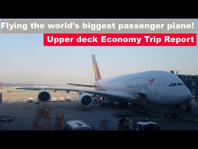 TRIP REPORT | Asiana Airlines | Airbus A380 | Los Angeles to Seoul Incheon | Upper Deck Economy