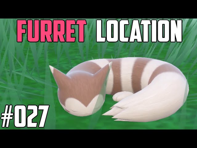 How to Catch Furret - Pokémon Scarlet & Violet (DLC)