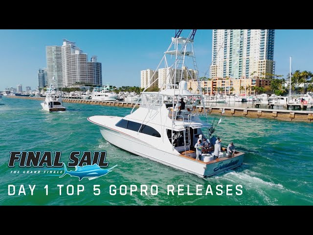 Top Releases from 2024 Final Sail