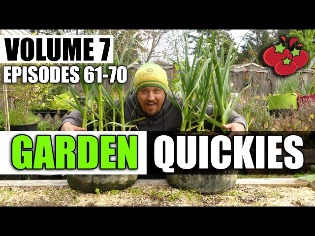 Garden Quickies Volume 7 - Episodes 61 to 70