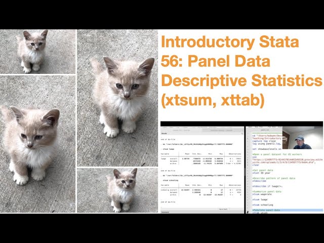 Introductory Stata 56: Panel Data Descriptive Statistics (xtdescribe, xtsum, xttab)
