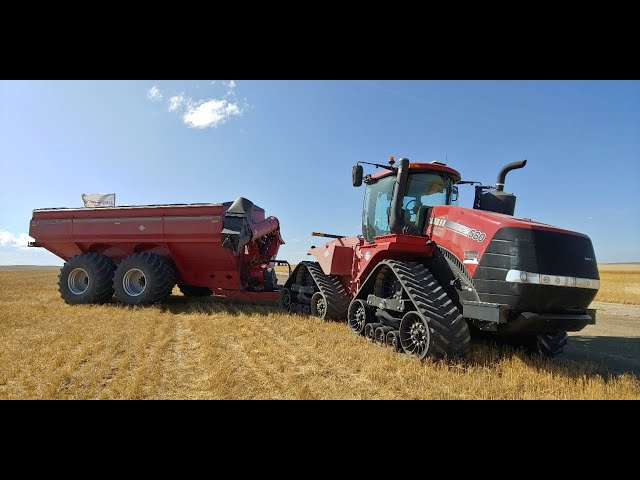 🔴Live! Quadzilla - Harvest 19 Is Nearly Over