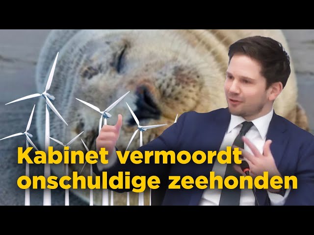 "ECOLOGISCHE RAMP! Windmolens op zee verstoren natuurlijke ecosystemen", Van Meijeren (FVD)