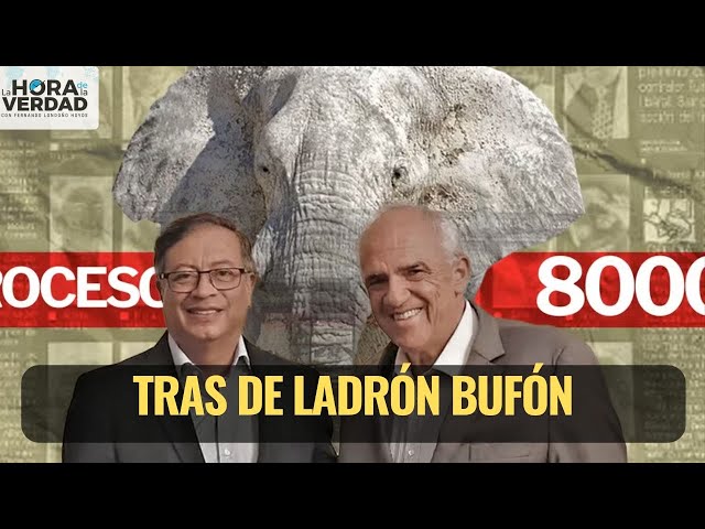 TRAS DE LADRÓN BUFÓN