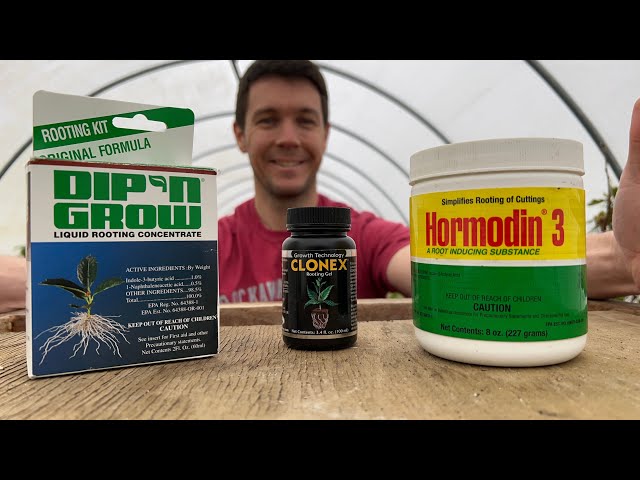 What's My Favorite Rooting Hormone for Propagating Plants?