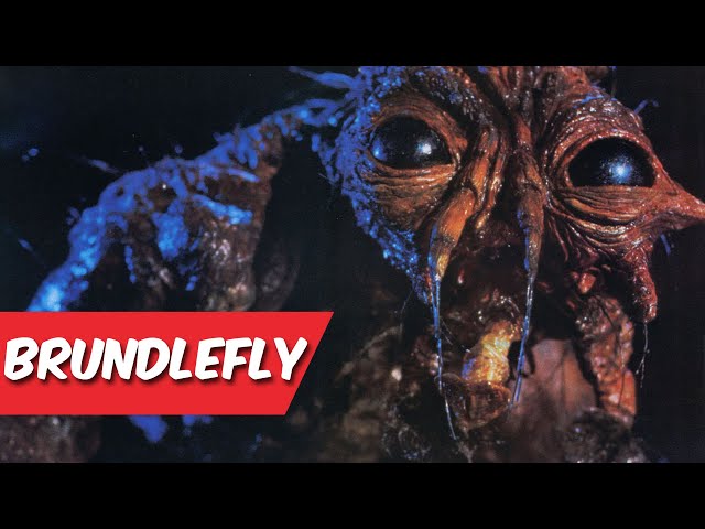 Brundlefly | The Fly | Classics Of Cinematics With Monk & Bobby