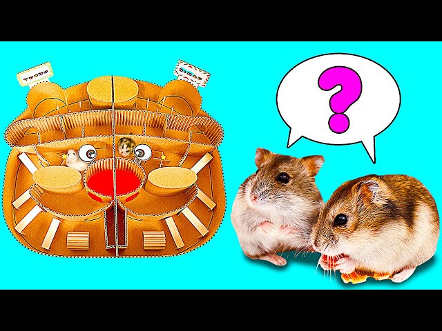 HAMSTERS RACE || Smart DIY Projects for Your Hamster