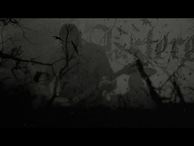 Austere - Sullen [Official Music Video]