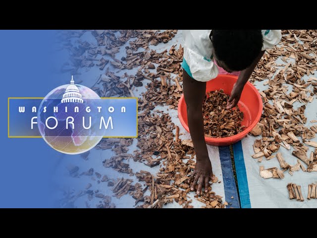 Washington Forum : le Rwanda, 30 après le génocide