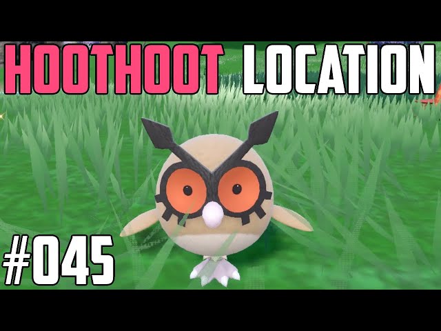 How to Catch Hoothoot - Pokémon Scarlet & Violet (DLC)