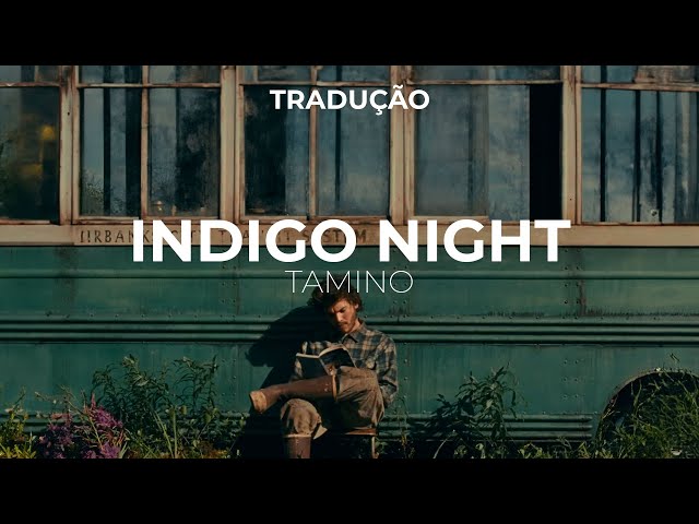 Tamino - Indigo Night [TRADUÇÃO]