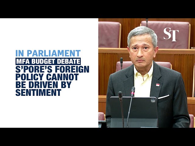 Singapore cannot let external issues divide us: Vivian