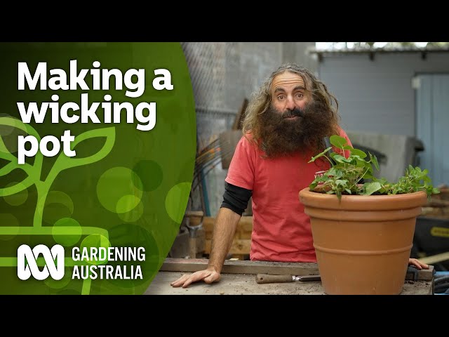 How to make a wicking pot so your plants self-water | DIY Garden Projects | Gardening Australia