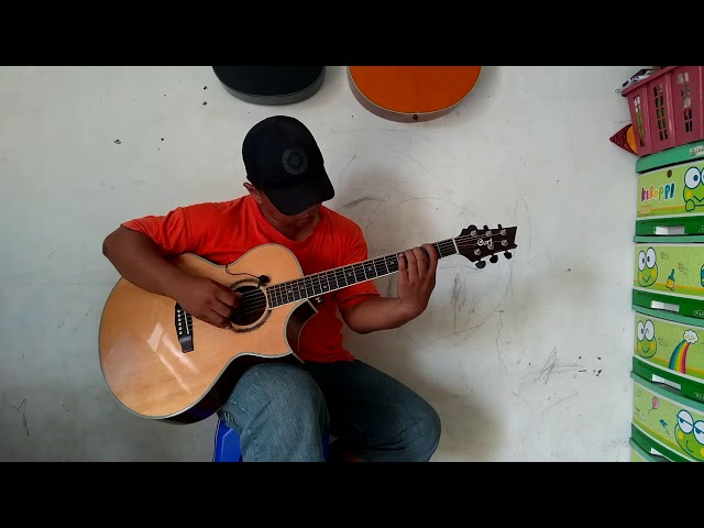 Lily - Alan Walker (fingerstyle cover)