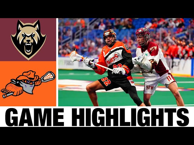 Buffalo Bandits vs. Albany FireWolves Highlights | Finals Game 2 | 2024 NLL Championship