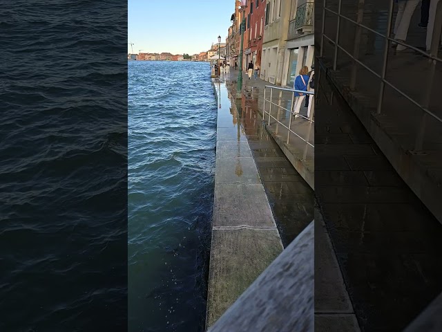 How CLOSE VENICE is to the sea level ! #travel