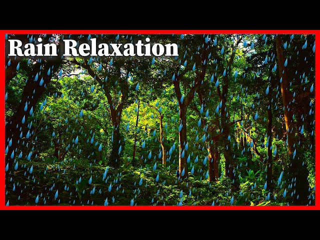 Rain Sound For Sleep And Relaxation, Best Rain Sounds Nature, Rain Sound White Noise, Rain To Sleep