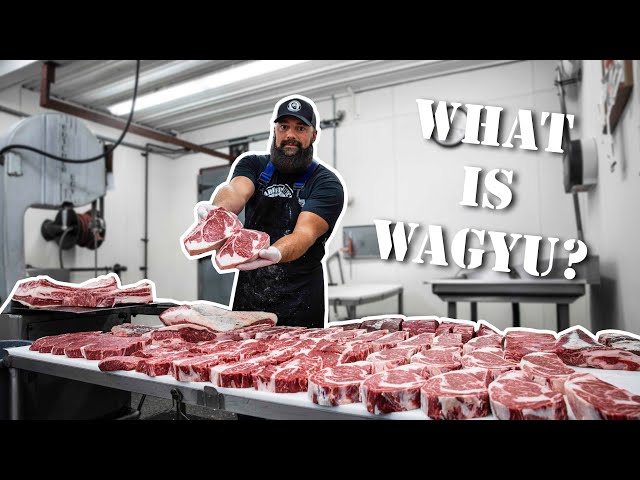Wagyu Beef and Kobe Beef [What's the Difference?] The Bearded Butchers Answer and Grill!