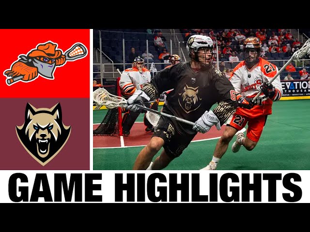 Buffalo Bandits vs. Albany FireWolves Highlights | Finals Game 1 | 2024 NLL Championship