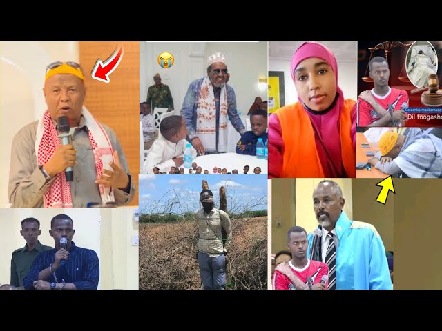 DEG DEG MADAXWAYNAHA SOMALIYA OO KULAN LA YEESHAY LUUL AABAHED & QOYSKA SAYID CALI XAQIIQDA OGOW 😭😭
