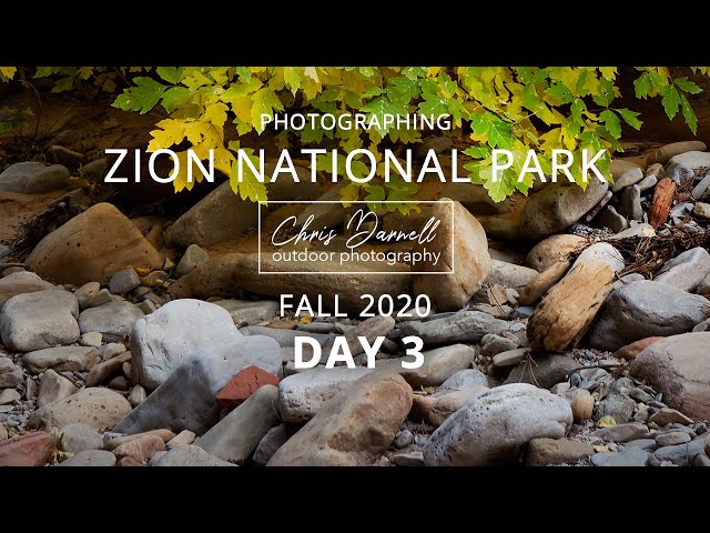 Photographing Zion National Park - Fall 2020 (Day 3)