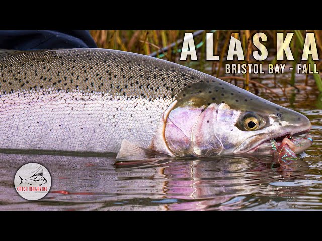 Fall in Alaska: Trout Spey Fly Fishing on Bristol Bay's Kvichak River by Todd Moen