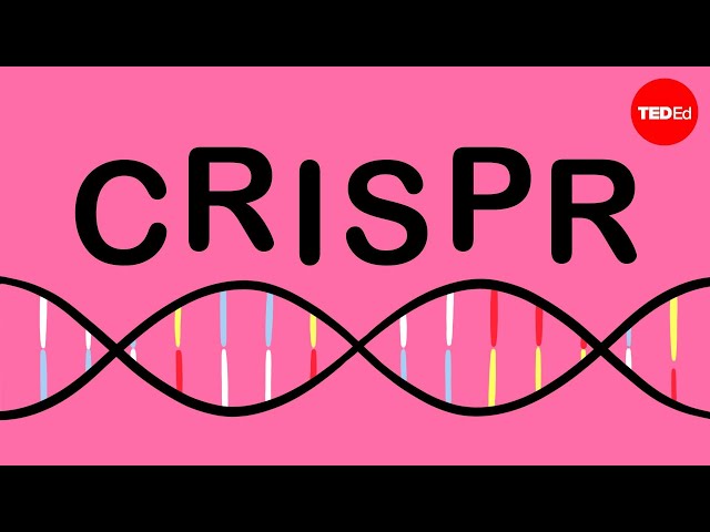 How CRISPR lets you edit DNA - Andrea M. Henle
