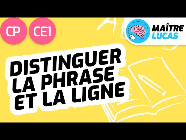 Distinguer la phrase et la ligne CP - CE1 - Cycle 2 - Français - FLE - Etude de la langue