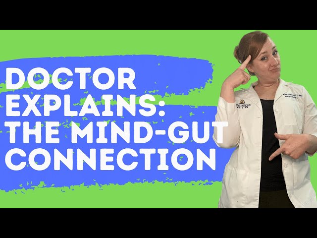 The Mind-Gut Connection: A Doctor Explains How Your Mental Health is Linked to Your Digestive System