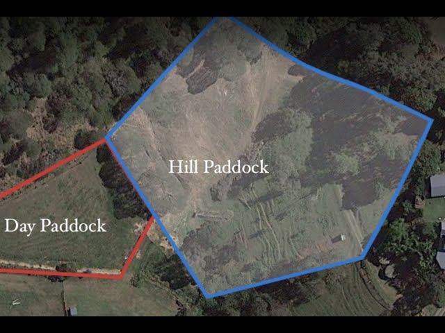 Hill Paddock Part 1- From Degraded to Productive - Regenerative Farming a Farming Revolution