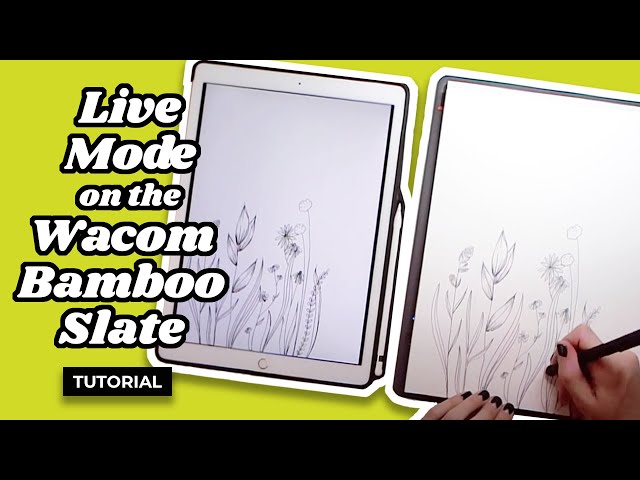 How to Use Live Mode on the Wacom Bamboo Slate
