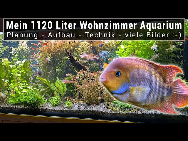 Mein 1120 Liter Wohnzimmer Aquarium - Planung - Aufbau, Technik, CO2, Filterbecken - viele Bilder 🙂🐟